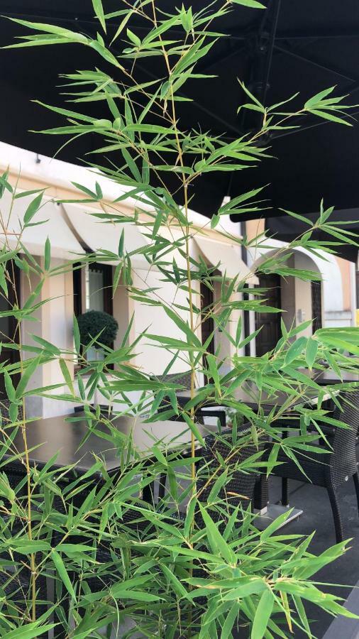 Valentino B&B Portogruaro Dış mekan fotoğraf